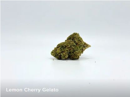 THCA - Small Flower - Lemon Cherry Gelato