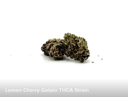 THCA - Small Flower - Lemon Cherry Gelato