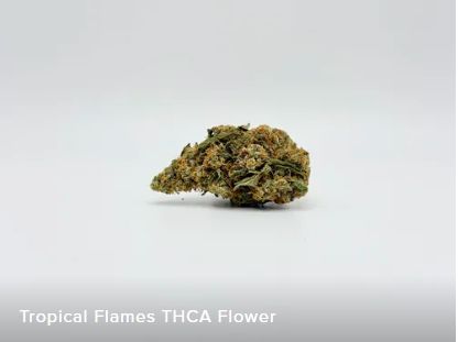 THCA - Shake Bag - Tropical Flames 14g