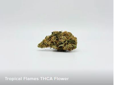 THCA - Shake Bag - Tropical Flames 14g