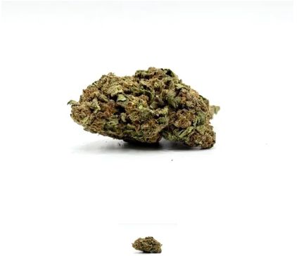 THCA - Small Flower - Legend Orange Apricot