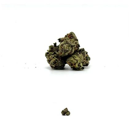 THCA - Small Flower - Bacio Gelato