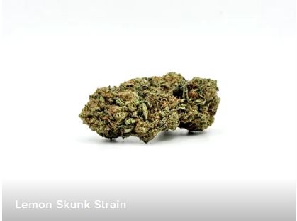 THCA - Top Shelf Flower - Lemon Skunk