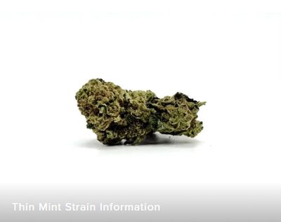 THCA - Small Flower - Thin Mint