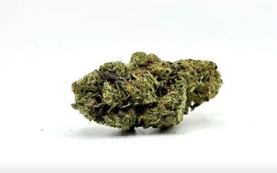THCA - Mid - Flower - Grapefruit Sorbet