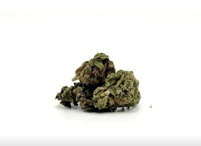 THCA - Small Flower - MJ Mintz