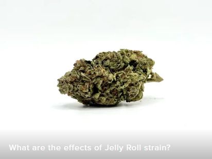 THCA - Small Flower - Jelly Roll