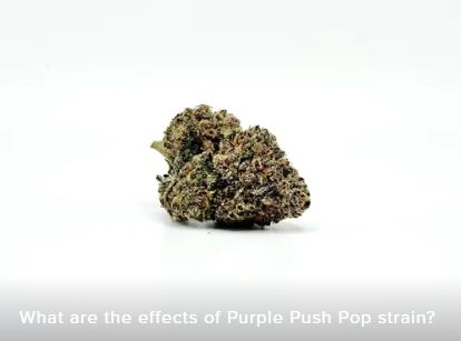 THCA - Top Shelf Flower - Purple Push Pop