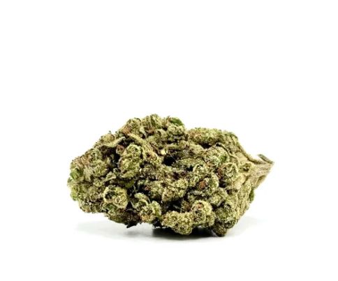 THCA - Mid Flower - GMO Cookies
