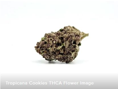 THCA - Mid Flower - Tropicana Cookies