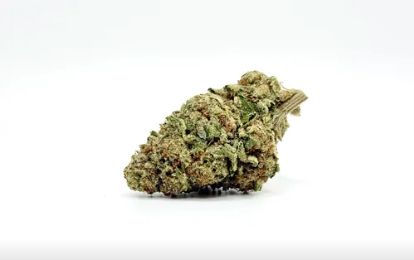 THCA - Small Flower - Lemon Tree 