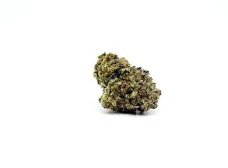 THCA - Small Flower - Gelato King