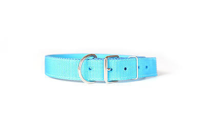 collar de piel para perro o gato
