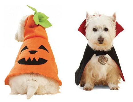 disfraz perro- calabaza, vampiro