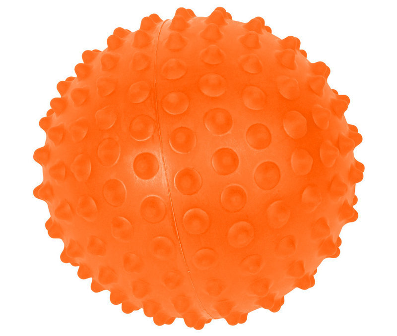 pelota de plastico perro
