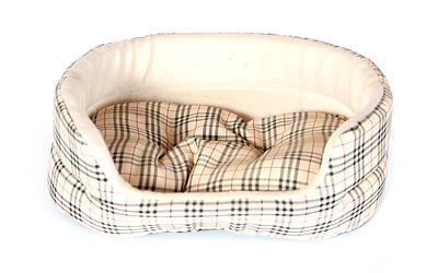 cama para perro chica