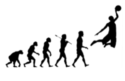 Evolution*