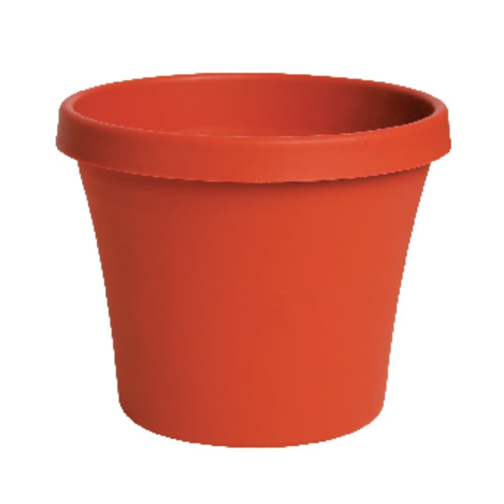 Bloem Terra 3.75 in. H X 4.25 in. W Resin Traditional Planter Terracotta Clay