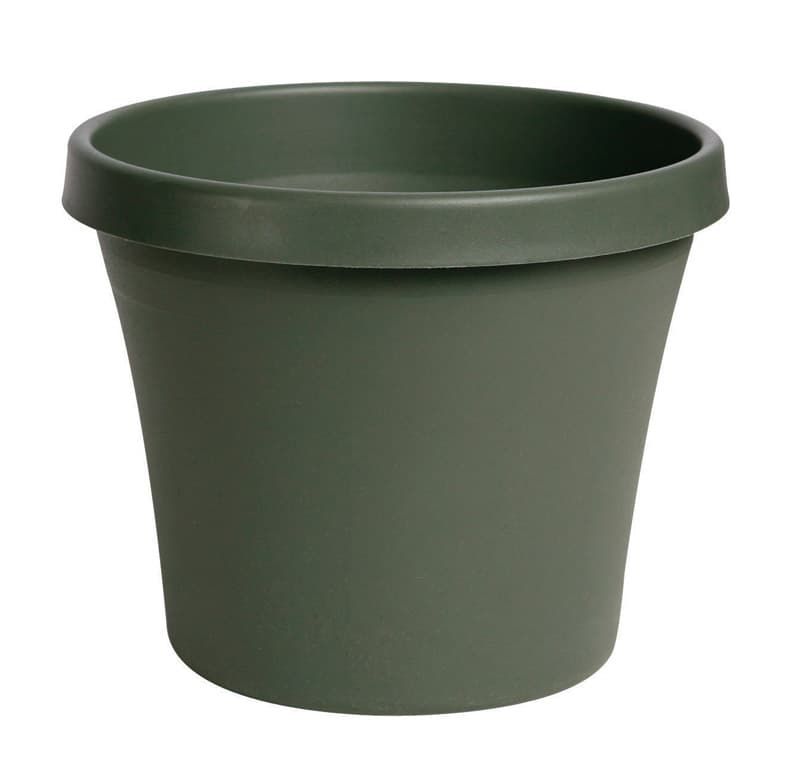 Bloem Terra 5.5 in. H X 6.5 in. W Resin Traditional Planter Living Green