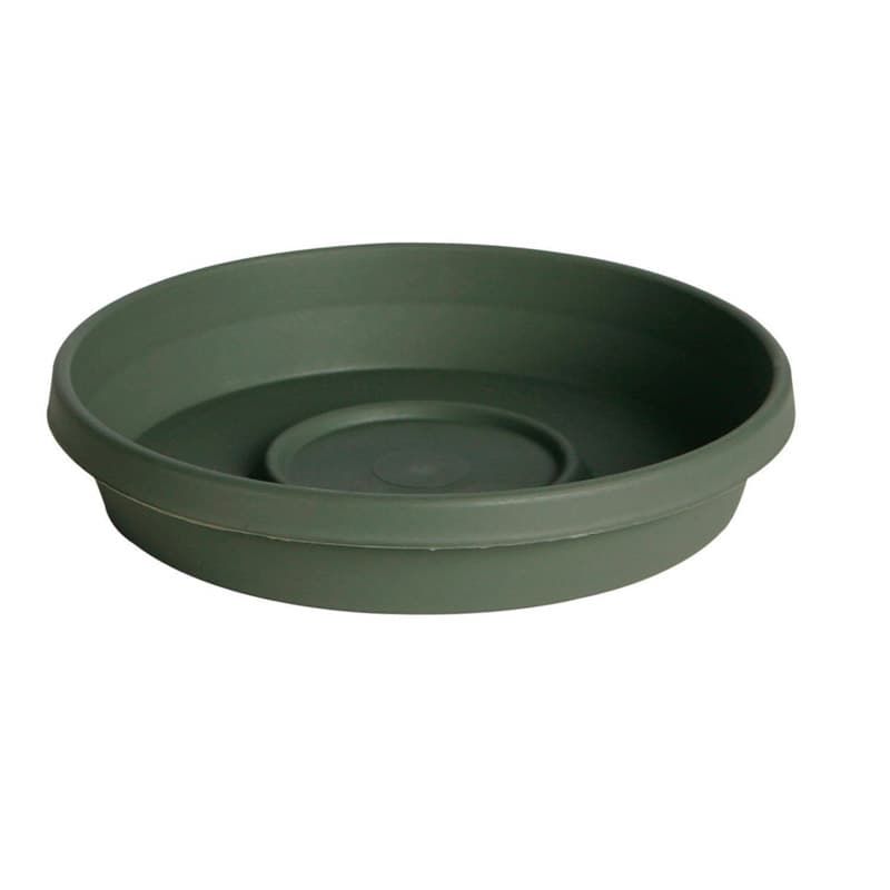 Bloem Terra 1.75 in. H X 9.25 in. W X 8 in. D Resin Traditional Plant Saucer Living Green