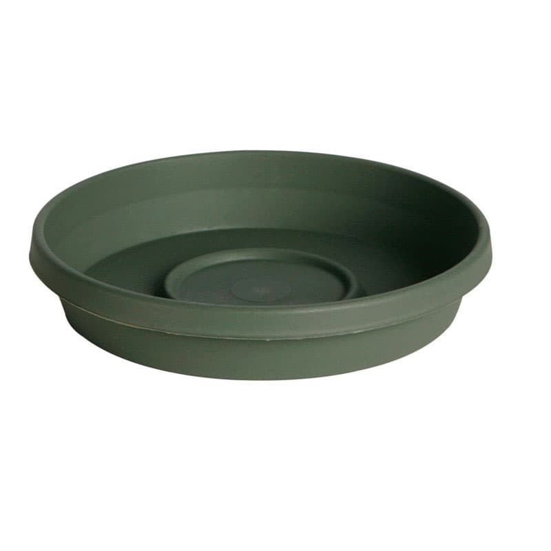 Bloem Terra 2 in. H X 11.25 in. W X 9.5 in. D Resin Traditional Plant Saucer Living Green