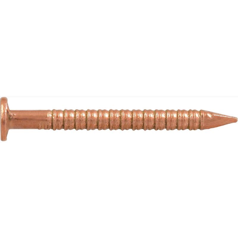 HILLMAN 1 in. Boat Bronze Steel Nail Flat Head 2 oz