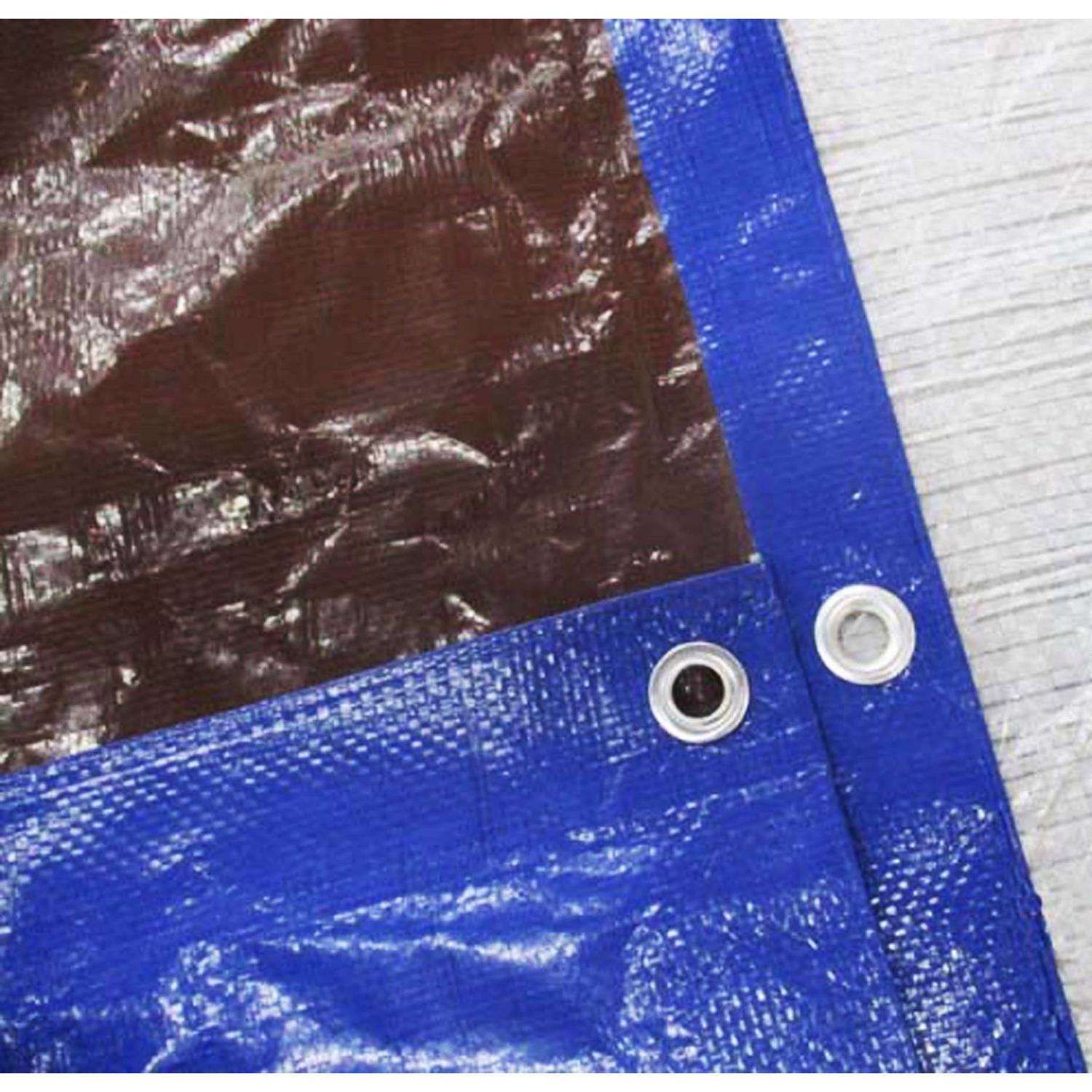 Ace 20 ft. W X 40 ft. L Medium Duty Polyethylene Tarp Blue/Brown