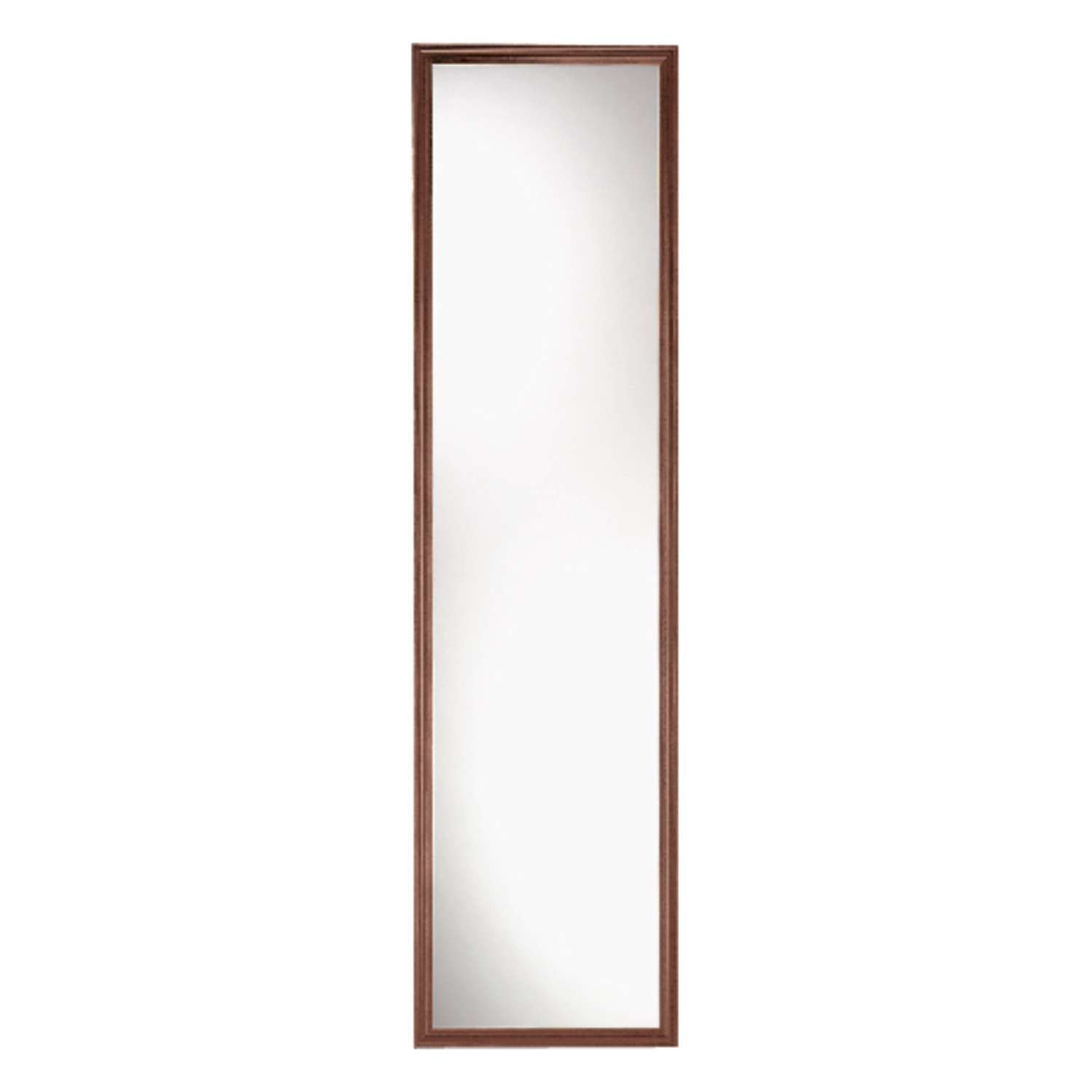 Erias 49 in. H X 13 in. W Natural Brown Plastic Mirror
