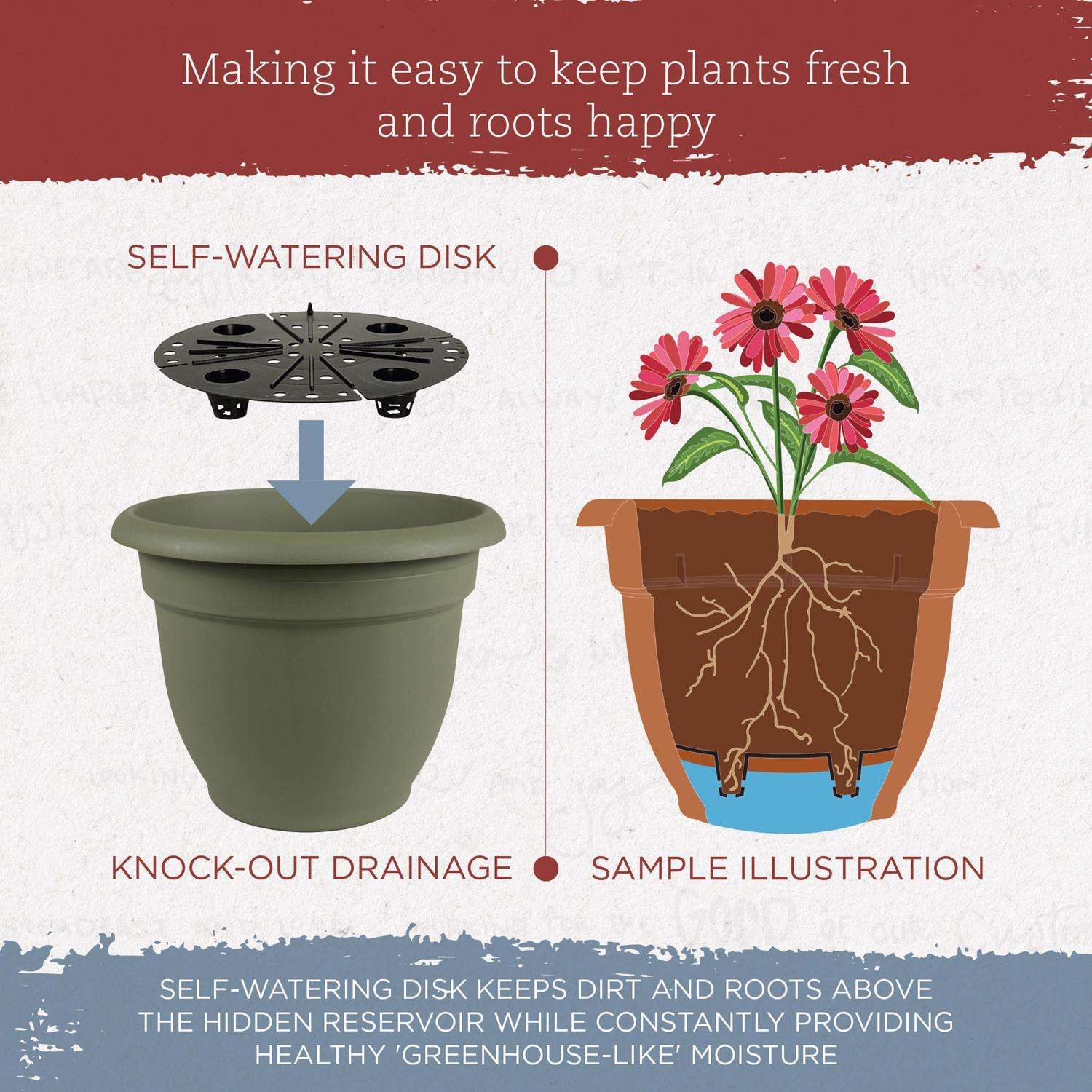 Bloem Ariana 10.25 in. H X 13 in. W Resin Traditional Planter Living Green