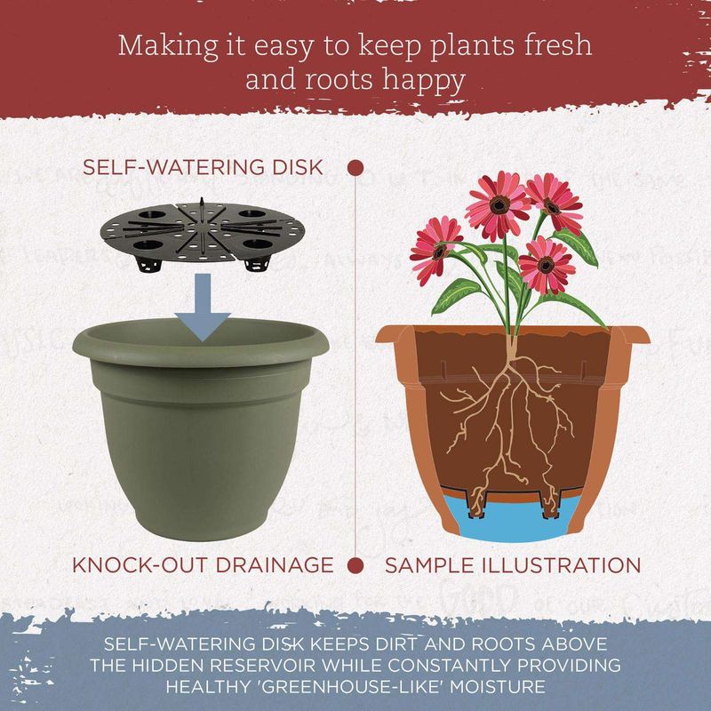 Bloem Ariana 10.25 in. H X 13 in. W Resin Traditional Planter Living Green