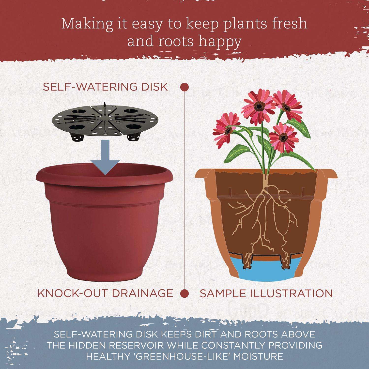 Bloem Ariana 8.5 in. H X 11 in. W X 10 in. D Plastic Traditional Planter Burnt Red