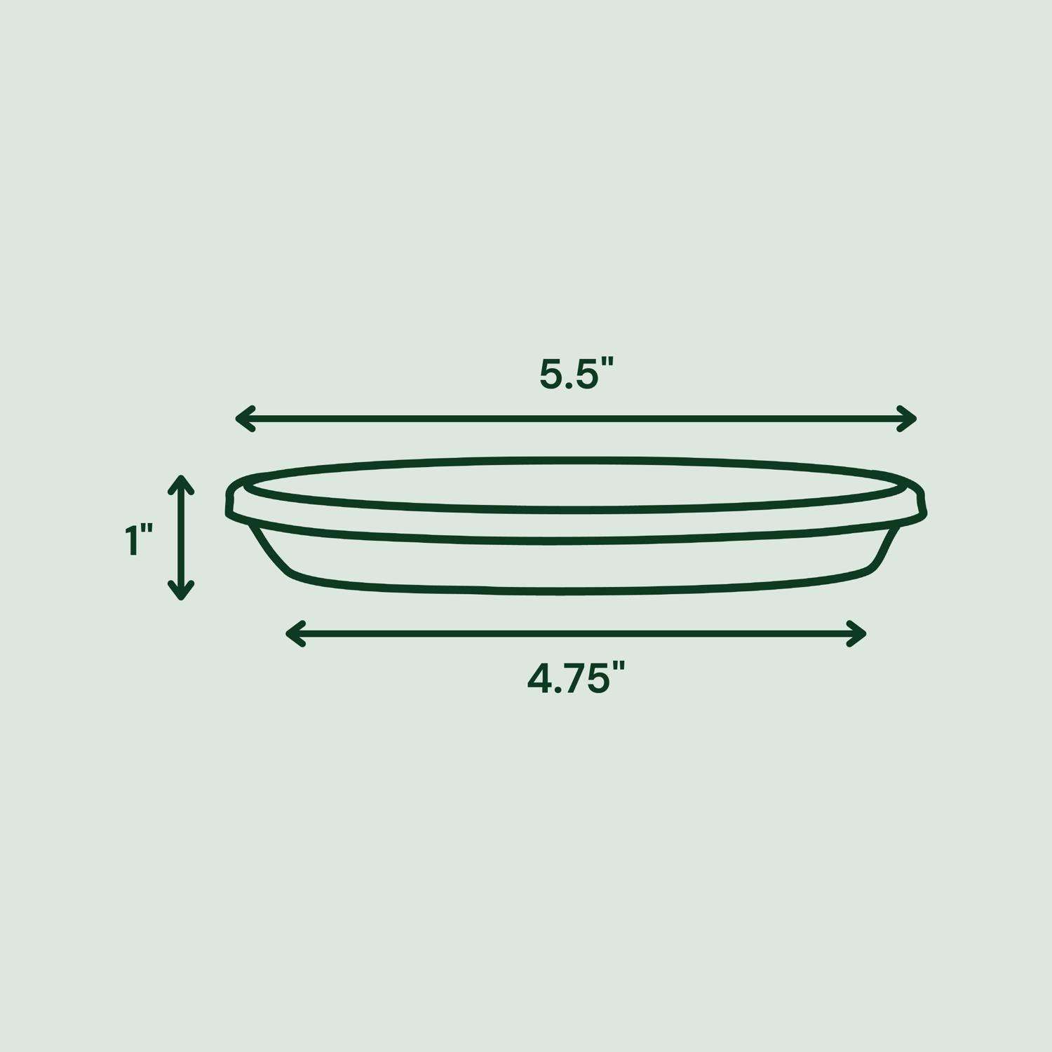 Bloem Terra 1 in. H X 5.5 in. W X 4.75 in. D Resin Traditional Plant Saucer Living Green