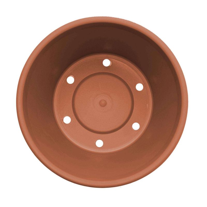 Bloem Terra 5.5 in. H X 6.5 in. W Resin Traditional Planter Terracotta Clay