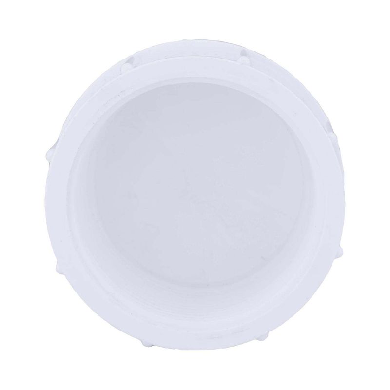 Charlotte Pipe Schedule 40 2 in. FPT X 2 in. D FPT PVC Cap 1 pk