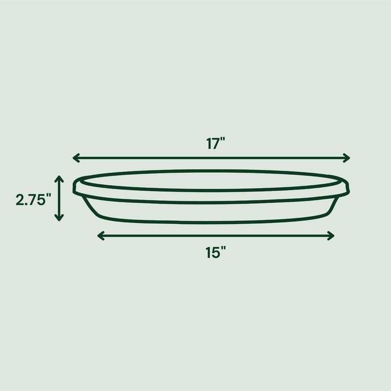 Bloem Terra 2.75 in. H X 17 in. W X 15 in. D Resin Traditional Plant Saucer Living Green
