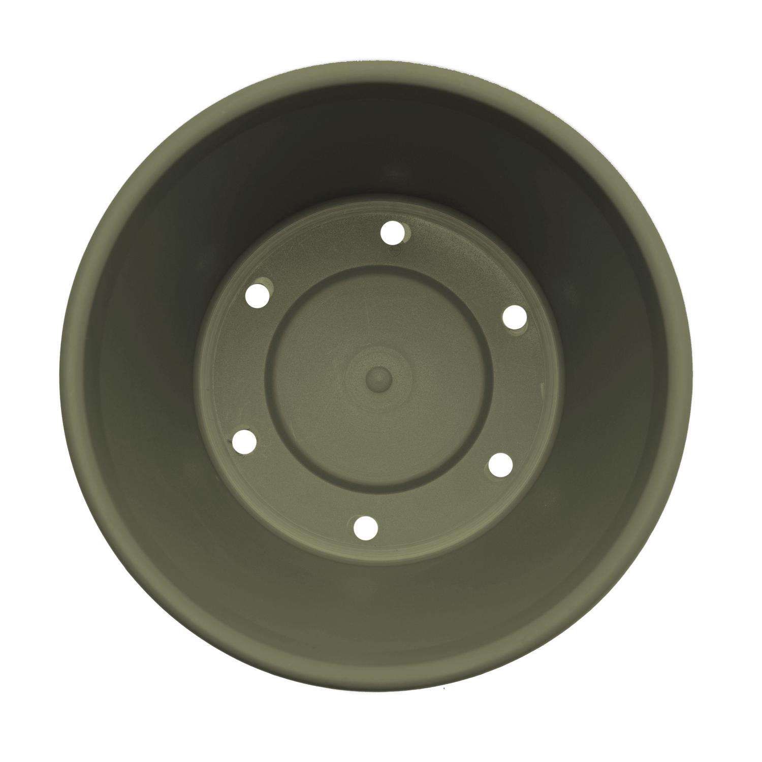 Bloem Terra 7.25 in. H X 8.75 in. W Resin Traditional Planter Living Green