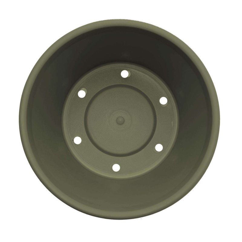 Bloem Terra 7.25 in. H X 8.75 in. W Resin Traditional Planter Living Green