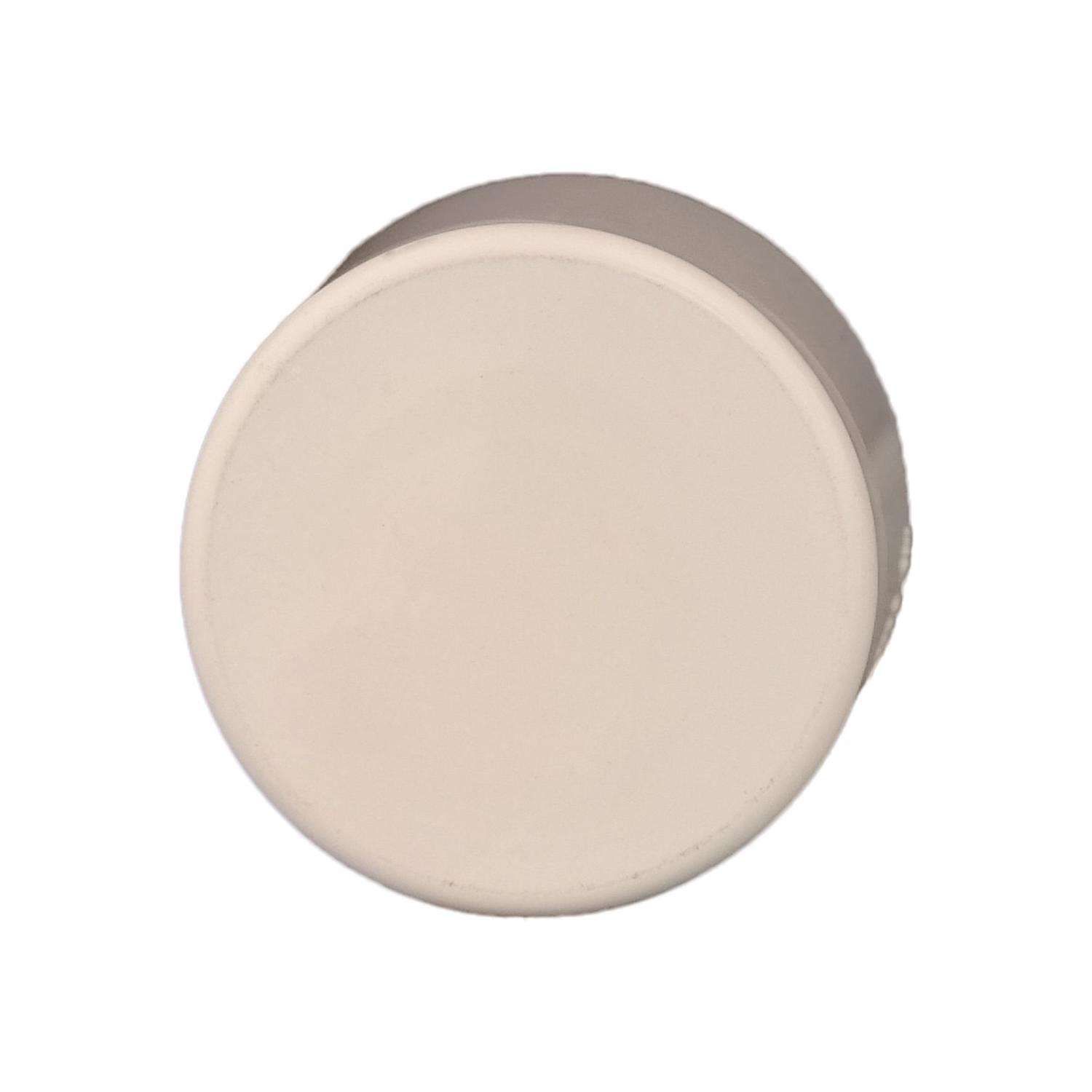 Charlotte Pipe FlowGuard 1 in. Slip X 1 in. D Slip CPVC Drain Cap
