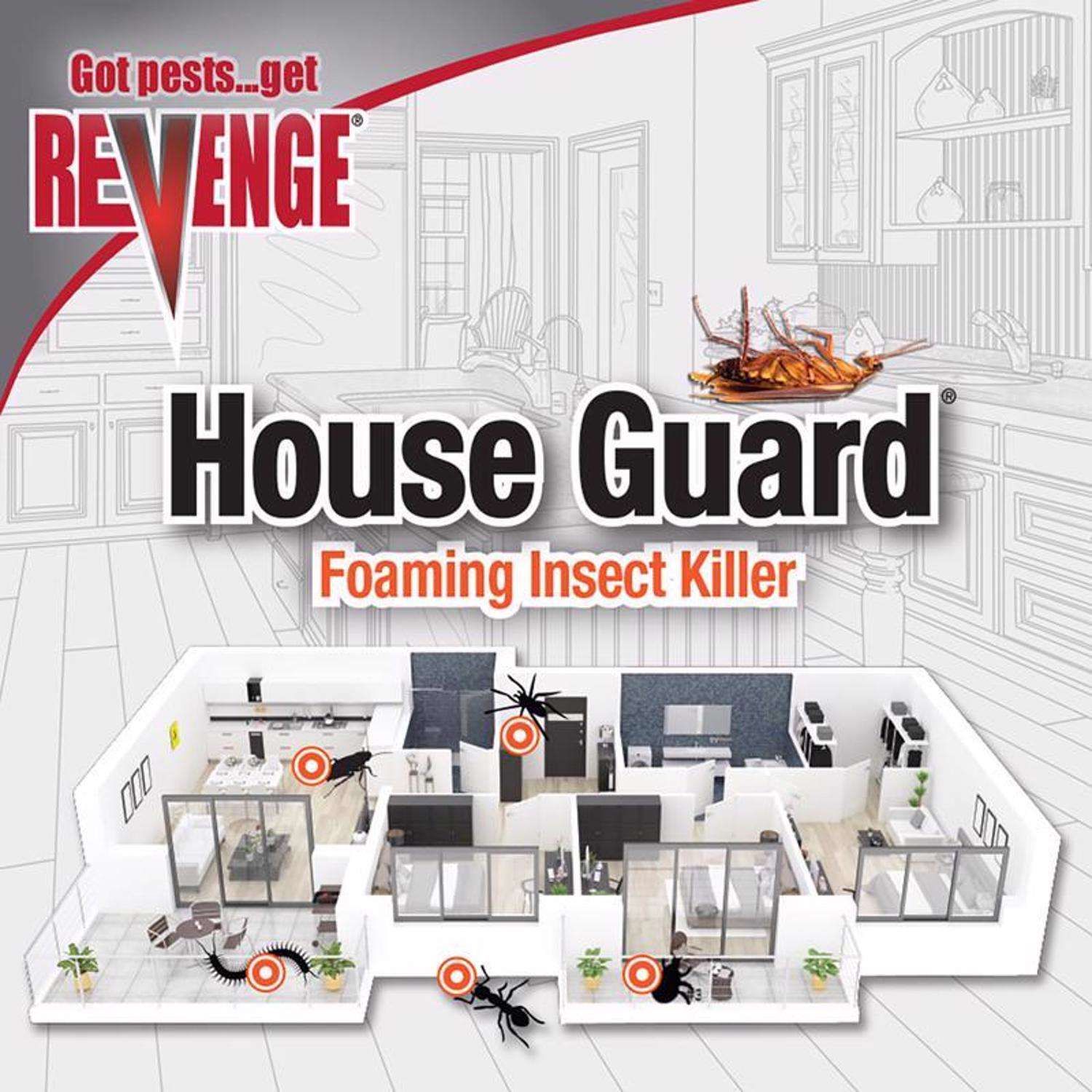 Bonide House Guard Ant and Roach Killer Foam 15 oz