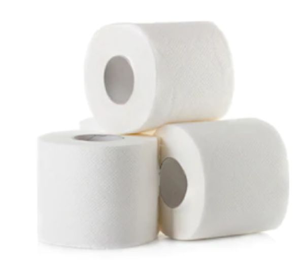 TOILET PAPR FLWR2PLY 4RL