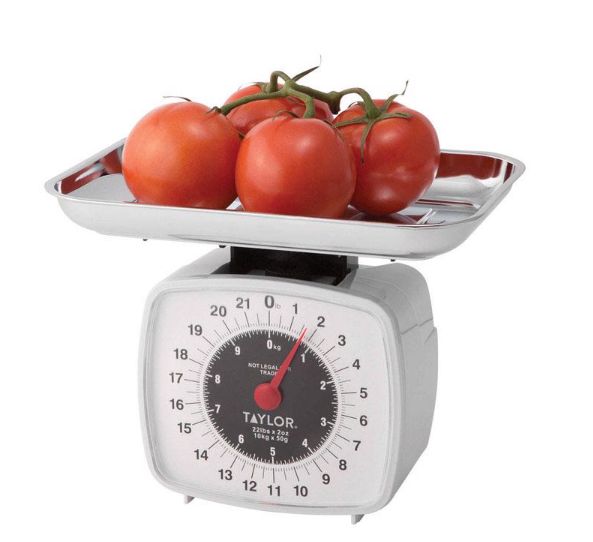 Taylor White Analog Kitchen Scale 22 lb