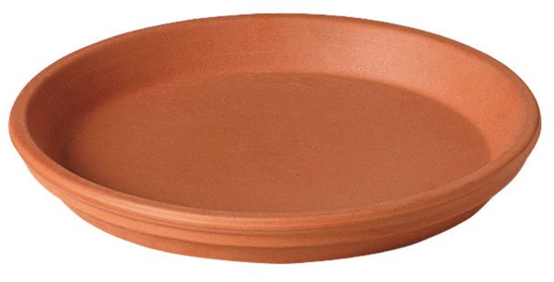 Deroma 1 in. H X 6.75 in. D Clay Traditional Plant Saucer Terracotta