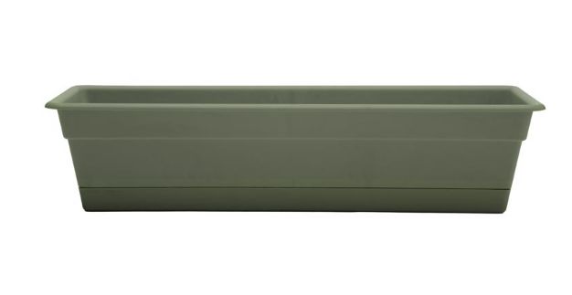 Bloem Dura Cotta 5.75 in. H X 30 in. W X 7.5 in. D Plastic Window Box Living Green
