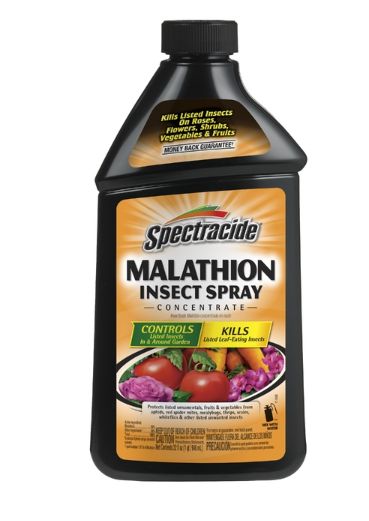 Spectracide Insect Killer Concentrate 32 oz Spectracide Insect Killer Concentrate 32 oz