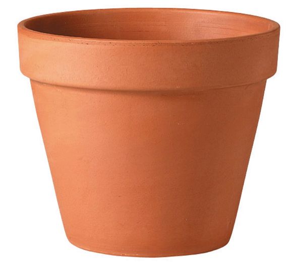 Deroma 5.7 in. H X 6 in. D Clay Standard Planter Terracotta Deroma 5.7 in. H X 6 in. D Clay Standard Planter Terracotta