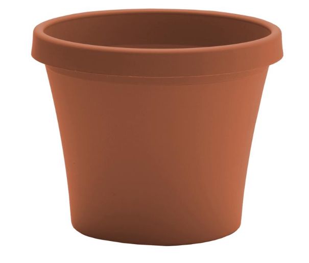Bloem Terra 7.25 in. H X 8.75 in. W Resin Traditional Planter Terracotta Clay Bloem Terra 7.25 in. H X 8.75 in. W Resin Traditional Planter Terracotta Clay