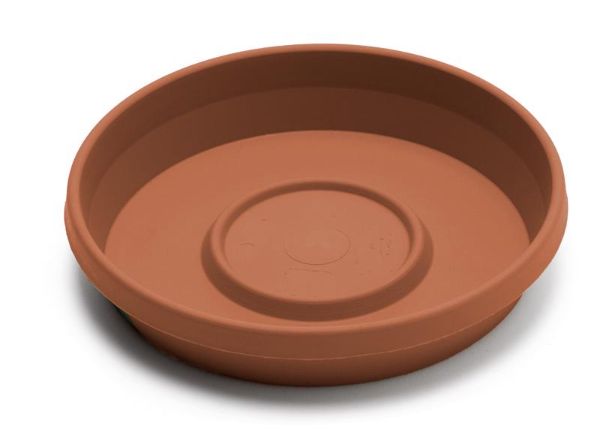 Bloem Terra 1.2 in. H X 5.5 in. W X 5.5 in. D X 5.5 in. D Resin Traditional Plant Saucer Terra Cotta