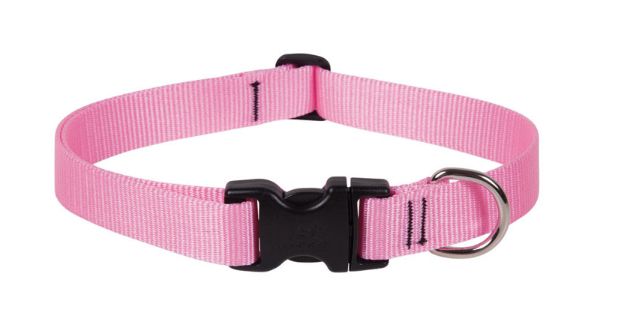 LupinePet Basic Solids Pink Pink Nylon Dog Adjustable Collar