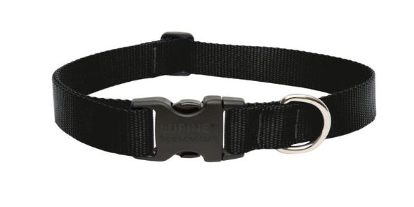 LupinePet Basic Solids Black Nylon Dog Adjustable Collar