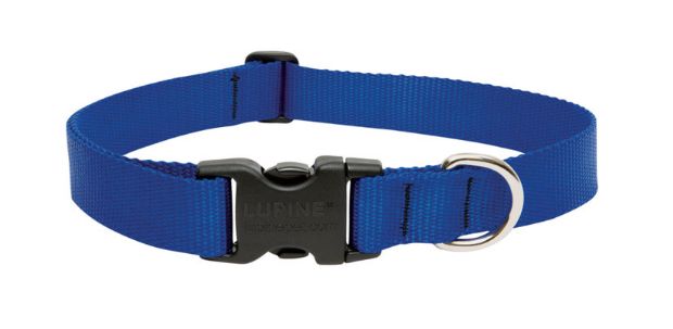 LupinePet Basic Solids Blue Nylon Dog Adjustable Collar